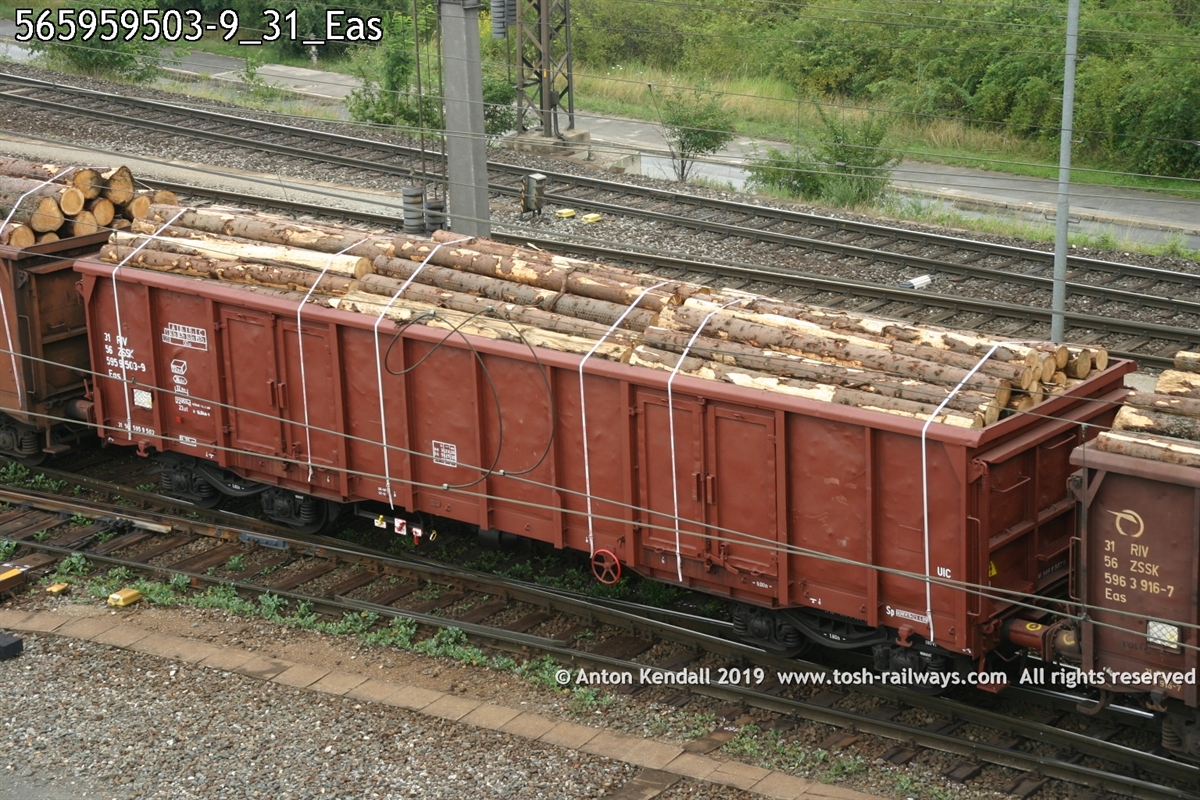 565959503-9_31_Eas.jpg